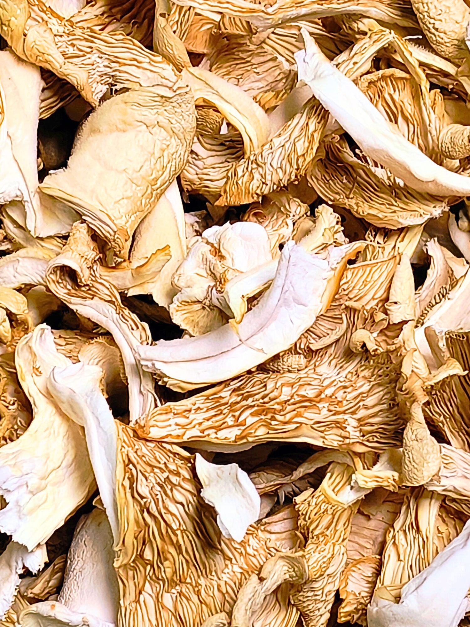 16_06_2025, 09_06_36 - Edited