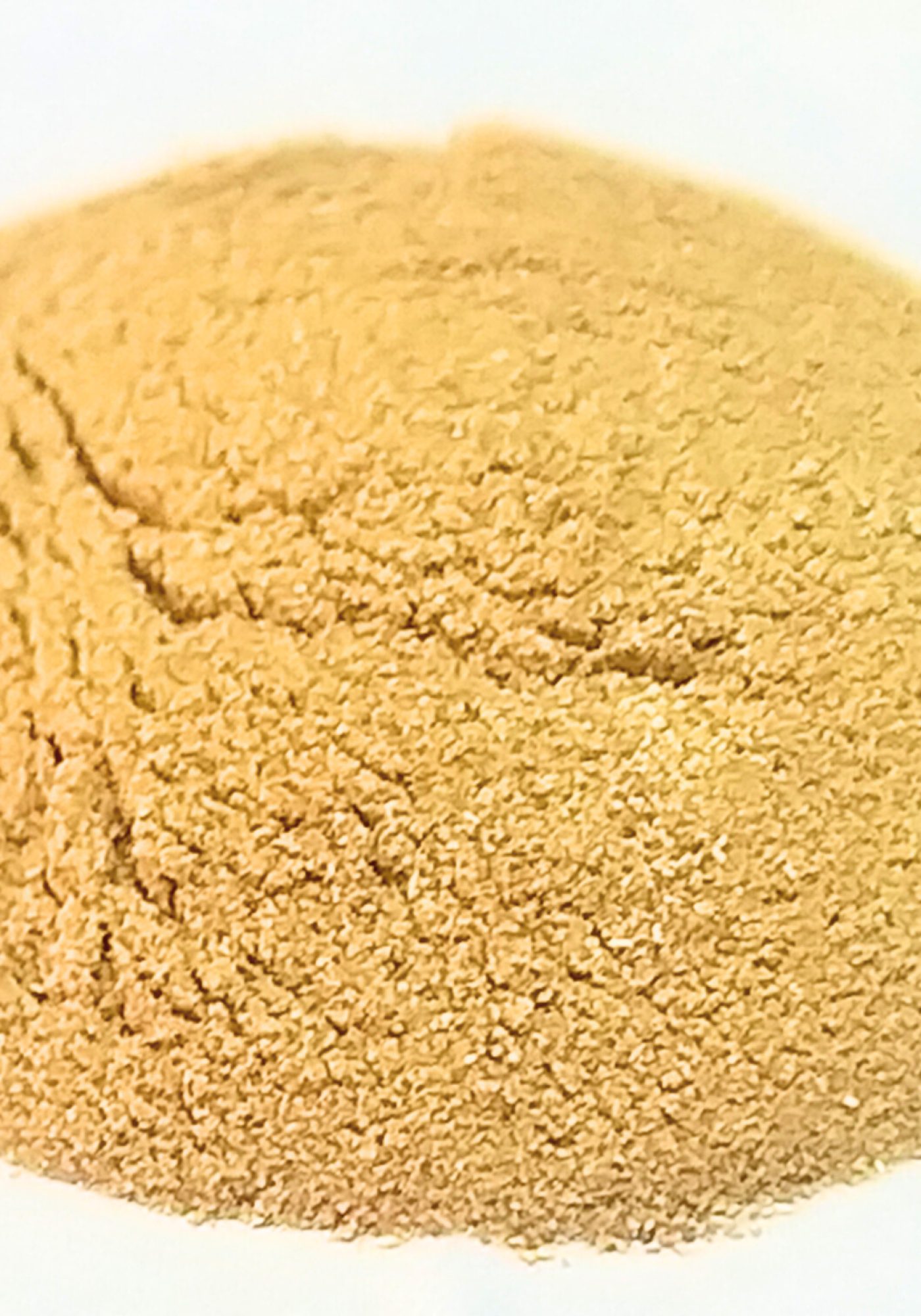 2595354a-ad9b-40d4-9aae-1ad7be2c2f16