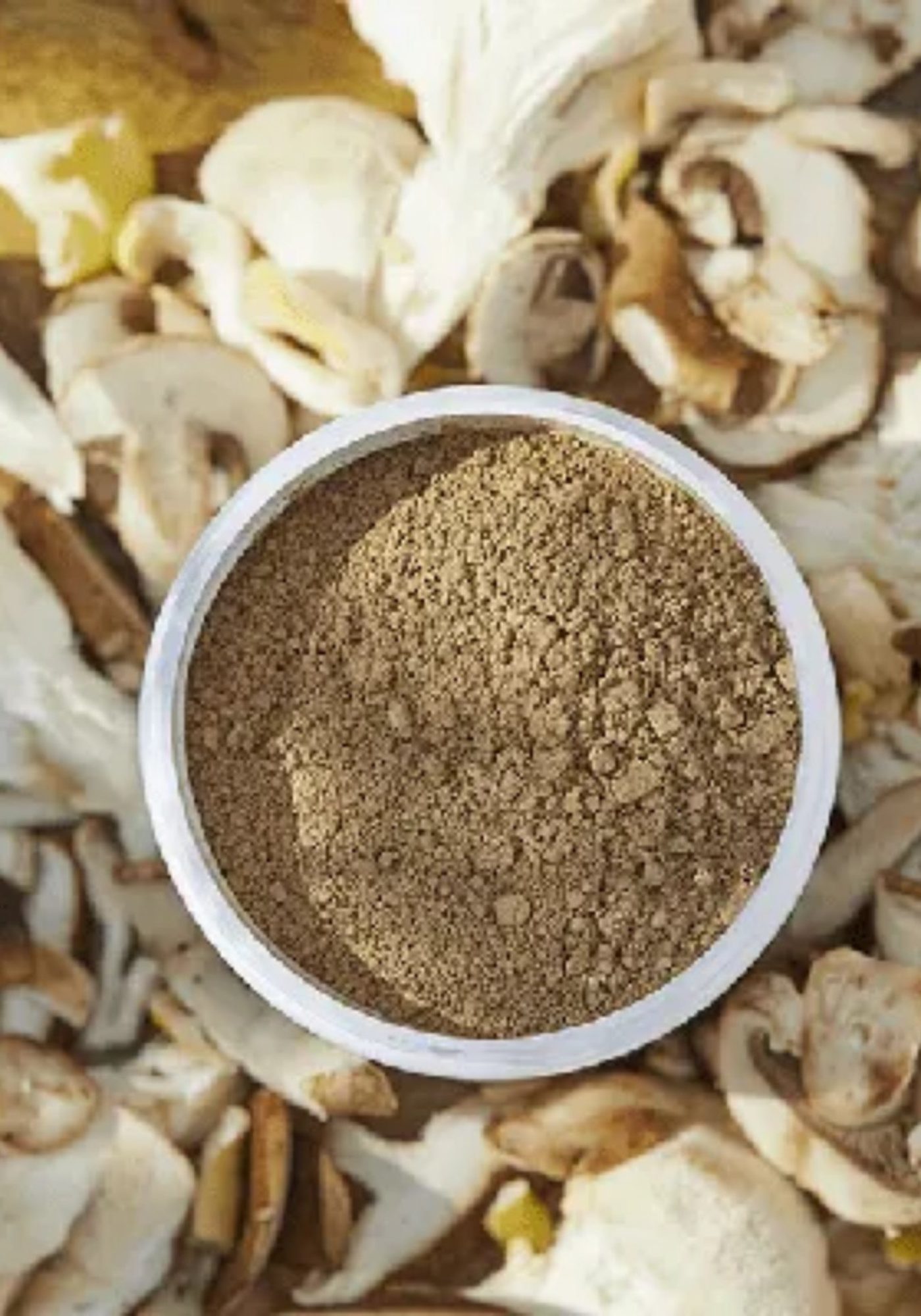 mushroom-soup-powder